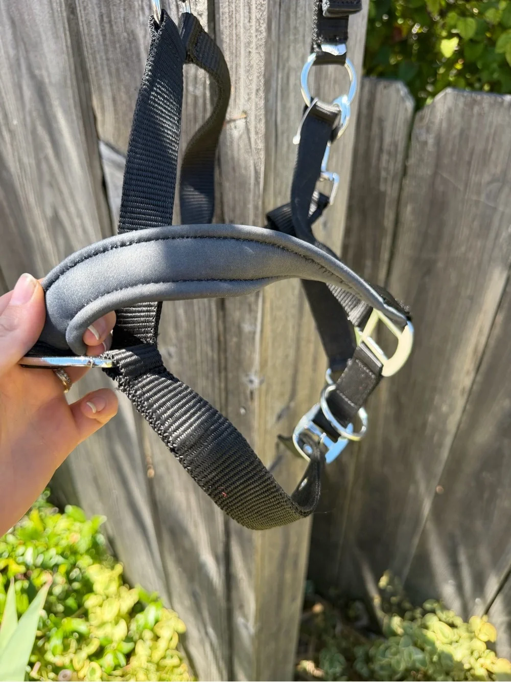NWOT Black Adjustable Nylon Halter